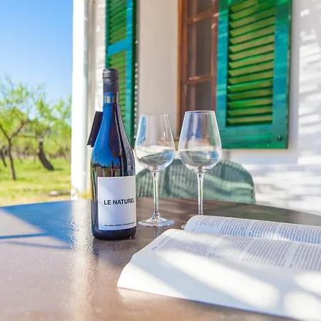 Villa Ses Planes -ca Na Faustina- (adults Only)